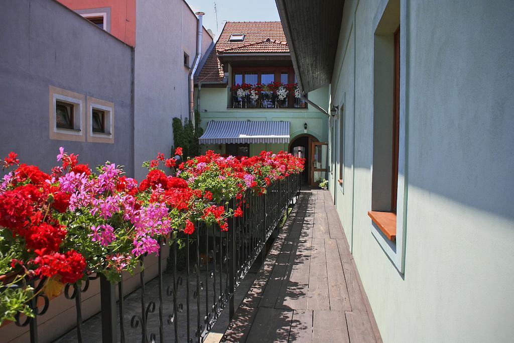 Boutique Penzion Slovenska - Penzion Bella Sicilia Πρέσοβ Εξωτερικό φωτογραφία